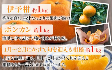 ＜無茶々園の柑橘セット 約3kg（1～2月）＞ フルーツ 果物 くだもの 伊予柑 いよかん イヨカン ポンカン ぽんかん みかん 蜜柑 ミカン 詰め合わせ 詰合せ お楽しみ 食べ比べ お試し おためし
