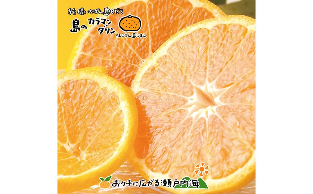 
            【希望の島】 完熟春みかん （カラマンダリン） 特選品 中玉 2kg 愛媛県 松山市 中島産 みかん ミカン 柑橘 贈答用 果物 くだもの フルーツ デザート 国産 常温 【2026年5月上旬～5月下旬迄順次発送予定】（1023）
          