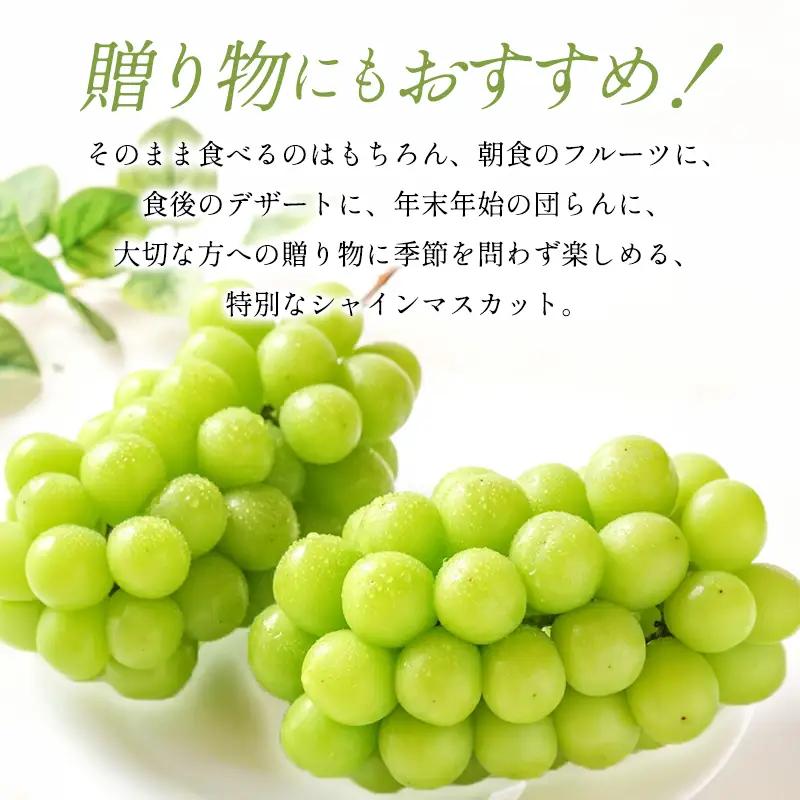 C-1180 冬季シャインマスカット 2kg