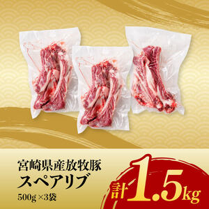 数量限定！宮崎県産豚肉放牧豚スペアリブ1.5kg 【 豚 肉 国産 九州産 宮崎県産 川南町産 豚肉 スペアリブ 】