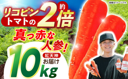 真っ赤なにんじん「紅天神」10kg AHCU002 にんじん