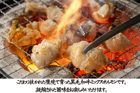 【自社農場和牛】黒毛和牛ミックスホルモン 1kg（500g×2P 国産 牛肉 黒毛和牛 ホルモン 焼肉 BBQ 冷凍）