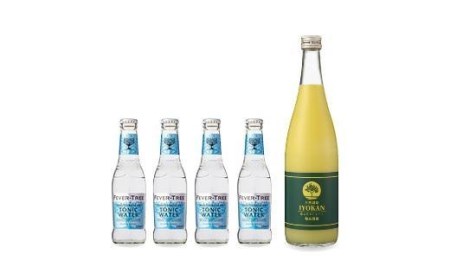 みかんジュース 100％ 宮内伊予柑 720ml 1本 セット | みかんジュース みかんジュース みかんジュース みかんジュース【IZ007_x】