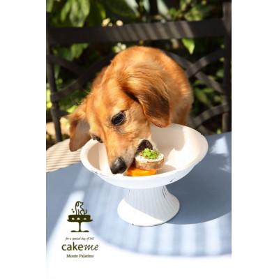 ふるさと納税 筑前町 ペットフード(犬のおやつ)　人参とヨーグルトクリームのタルト　5個入り |  | 02