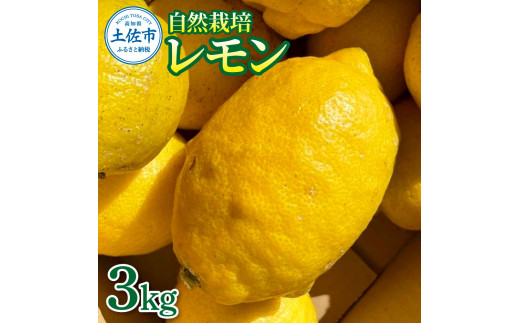 自然栽培レモン 約3kg レモン れもん 檸檬 柑橘 果物 産地直送 お取り寄せ ギフト 高知 土佐 高知県 土佐市【有限会社 四万十くじら】[BQBR004]