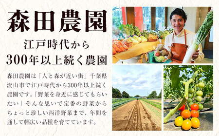 野菜 農家直送 新鮮 野菜 セット ミディアムサイズ 8～10品 《60日以内に出荷予定(土日祝除く)》 森田農園 青果物 やさい 千葉県 流山市