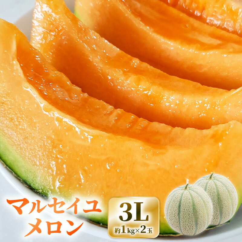 【ふるさと納税】【先行予約】三里浜砂丘地産 マルセイユメロン（赤肉メロン）3L 2玉入り（1玉：約1〜1.3kg） 【2026年6月上旬以降順次発送予定】【メロン めろん フルーツ デザート 果物 くだもの 果実 赤肉 糖度 甘い ジューシー お取り寄せ グルメ 産地直送 】