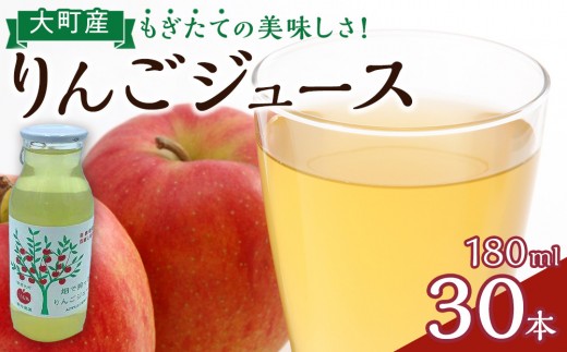 りんご ジュース セット 30本 × 180ml 大町産 | ジュース 農家直送  果汁100%  大容量 国産りんご 人気 おすすめ 飲料 フルーツ 朝食 美容 健康 ギフト 送料無料 長野県 大町市 ふるさと納税