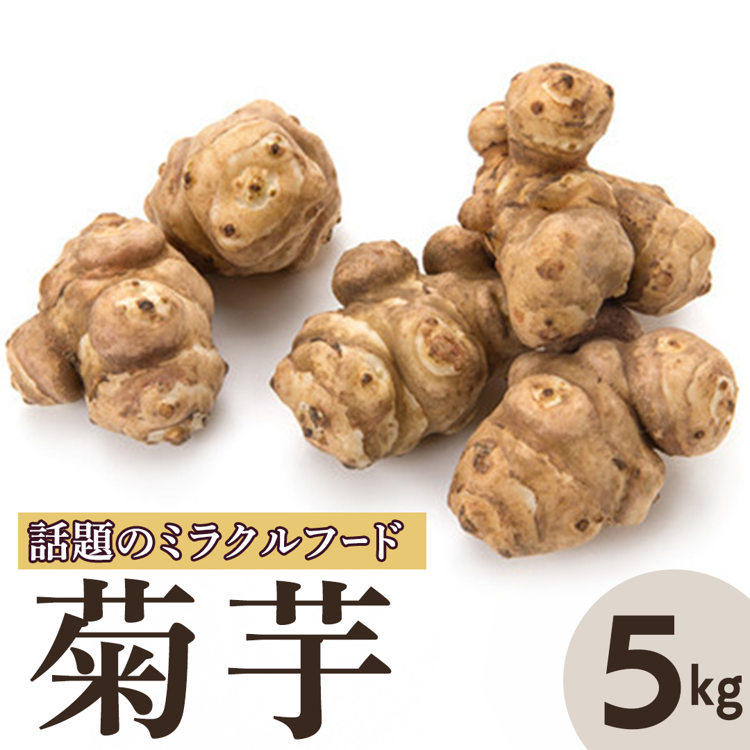 菊芋 (きくいも) 健康野菜 5kg 【2026年 11月以降発送】 (BJ016)
