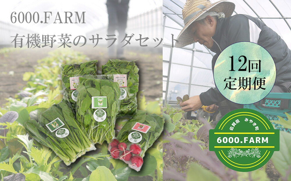【ふるさと納税】【12回定期便】6000.FARMの有機野菜のサラダセット（FV020）