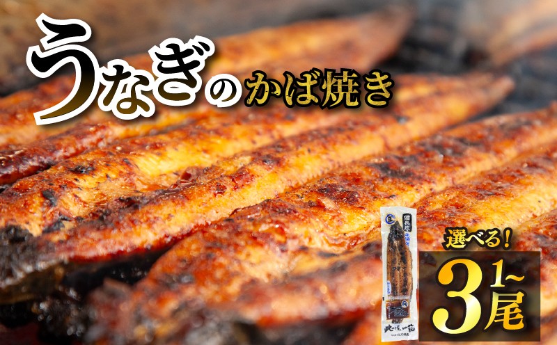 
                  【選べる】【 江口商店うなぎのかば焼き 】うなぎ かば焼き 1尾 2尾 3尾 江口商店｜ うなぎ 鰻 国産 長蒲焼 1尾 国産 うなぎ 鰻 ウナギ 蒲焼き 蒲焼 かばやき 魚 魚介 魚貝 海鮮 うな重 ひつまぶし 蒲焼 ギフト 人気 おすすめ福岡県 柳川市
                