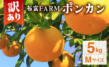 【先行予約】訳ありポンカン Mサイズ 5kg N-08【布富FARM】
