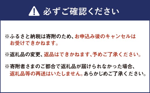B35 山川みかん 8kg マイルド130 数量限定【2026年11月上旬～12月上旬迄順次発送予定】_イメージ5
