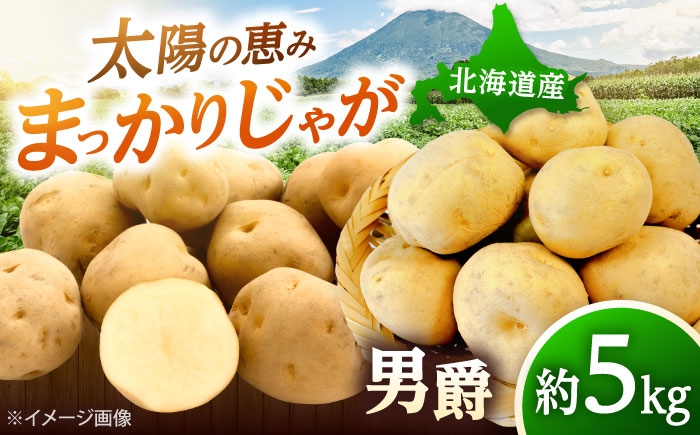 
                  【2026年10月中旬以降順次発送】 じゃがいも 男爵（まっかりじゃが）5kg | じゃがいも ジャガイモ 男爵 秋 2026年 じゃが芋 芋 野菜 北海道 産地直送 産直 秋野菜 先行予約 | 道の駅 真狩フラワーセンター [BPAM016]
                