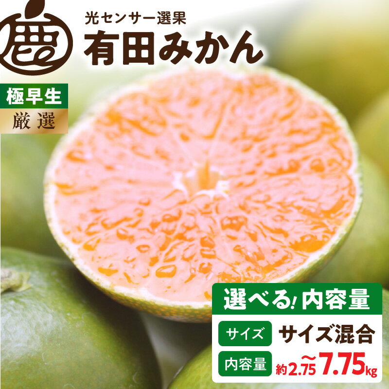 【ふるさと納税】【2026年先行予約】 厳選 極早生有田みかん 選べる 内容量 + 250g（傷み補償分） 濃厚 ゆら早生みかん サイズ混合【YN26・ゆら早生】【光センサー選果】