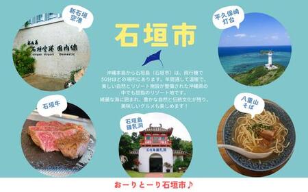 石垣市に泊まるふるさと納税旅行クーポン【6,000円分】｜沖縄県 石垣市 石垣島 八重山 旅行 クーポン 旅行クーポン 電子クーポン 日本空輸 NK-2
