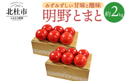 明野トマト約2kg０８