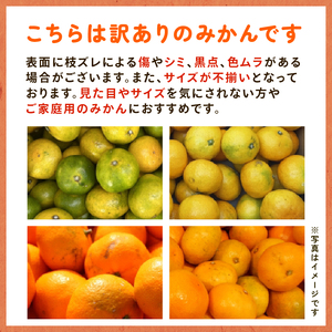 【ふるさと納税】【先行予約】早生みかん （土実樹みかん） 7kg 訳あり 【2025年11月下旬～12月下旬頃発送】 柑橘 フルーツ みかん 産地直送 お取り寄せ 送料無料