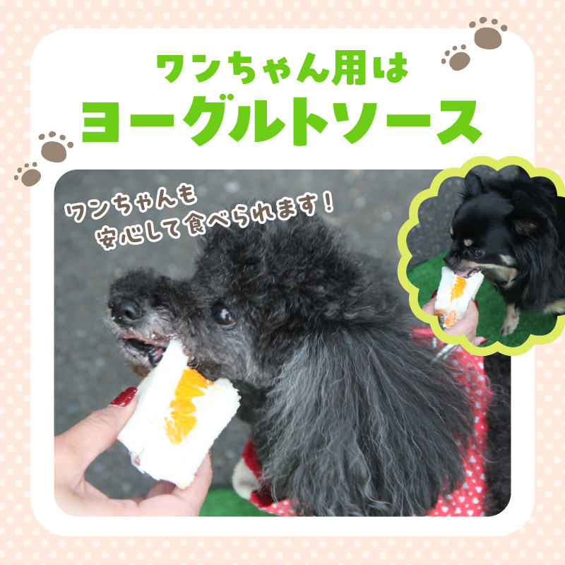 甘さ控えめ！八百屋が厳選したワンちゃん＆飼い主様フルーツサンドセット 5個セット フルーツ フルーツサンド 犬 愛犬 一緒 果物 くだもの H151-012