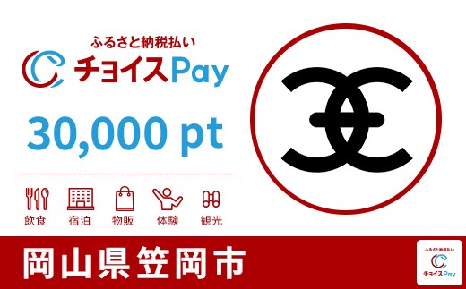 
            笠岡市チョイスPay 30,000pt【会員限定のお礼の品】
          