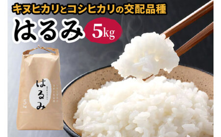 [開成町産米] はるみ 5kg [0105]