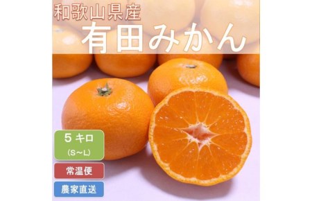 こだわりの和歌山県産 有田みかん 5kg（S～Lサイズおまかせ）ひとつひとつ手選別で厳選！生産者から直送 ｜ みかん
