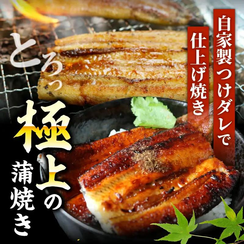 【通常用】【12回定期便】極上国産うなぎ四万十桜 白焼き約140g×2尾 うなぎ