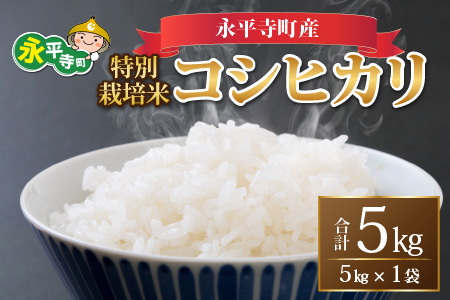 【先行予約】【白米】令和7年度産 永平寺町産 農薬不使用・化学肥料不使用 特別栽培米 コシヒカリ 5kg【10月上旬より順次発送開始予定】 [B-033013]