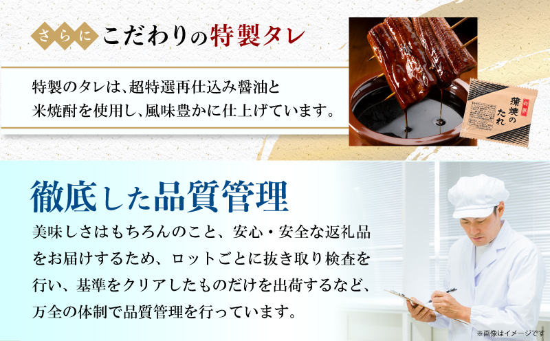 宮崎県宮崎市産 うなぎの蒲焼 約1.1kg(約220g×5尾) タレ・山椒セット 国産 うなぎ 蒲焼き 5尾 鰻 ウナギ 蒲焼 うなぎ蒲焼 うなぎ蒲焼き タレ 山椒 冷凍 パック 電子レンジ レンジ 