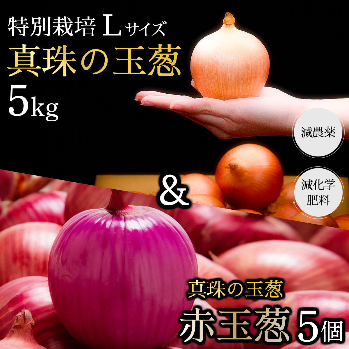 真珠の玉葱 特別栽培Lサイズ5kg(赤玉葱5個入り)≪海のミネラルで育てた特別栽培玉葱≫【50108】[a134-008]