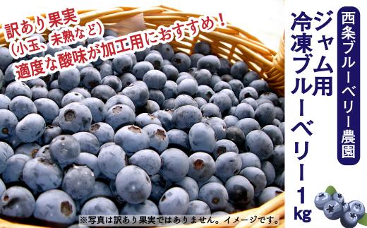 【先行予約】 ジャム用冷凍ブルーベリー１㎏　2025年6月下旬～9月発送　西条ブルーベリー農園 ブルーベリー 冷凍 【オンライン決済限定】
