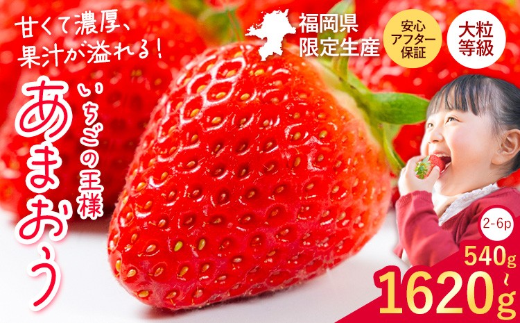 
            ★2026年出荷分★【先行予約】いちご あまおう 大容量産あまおう  540g 1080g 1620g 【着日指定不可】《2月中旬-4月末頃出荷》 いちご 
          