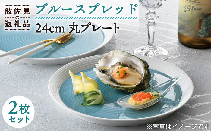 
【波佐見焼】ブルースプレッド 24cm 丸皿 プレート 2枚セット 食器 皿 【一真窯】 [BB46]
