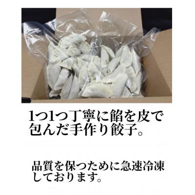 ふるさと納税 和泉市 南洲軒の餃子　60個(30個入り×2袋) |  | 01