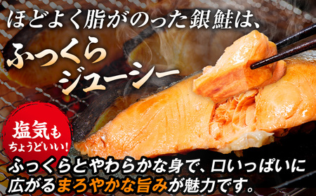 塩銀鮭（甘口） 900g（10~12切れ） | 北海道 津別町 銀鮭 塩鮭 さけ しゃけ サーモン 海鮮 切身 厚切り 魚介類 冷凍 パック おかず 和食 洋食 朝食 送料無料