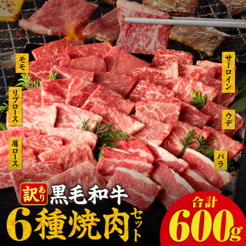 【畜産農家応援】≪訳あり≫黒毛和牛(経産牛)6種焼肉セット(合計600g) 肉 牛 牛肉 おかず 国産_T030-1206