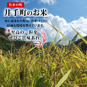 【先行受付】ヒノヒカリ 5kg 令和7年産 京都府産米米米米 