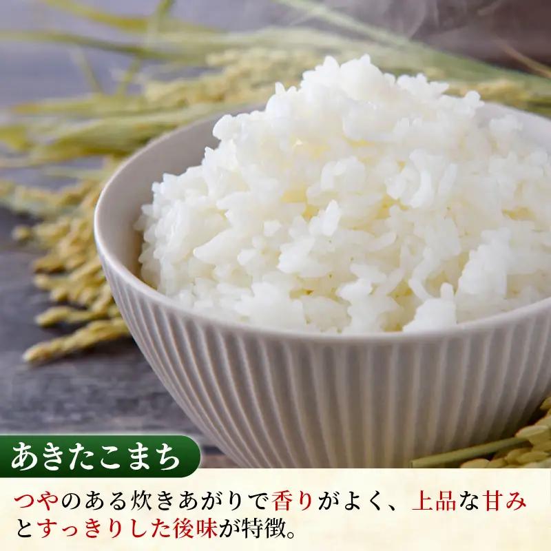 令和7年産 あきたこまち 精米 10kg (5kg×2袋)  中山産業 【価格変更AB】