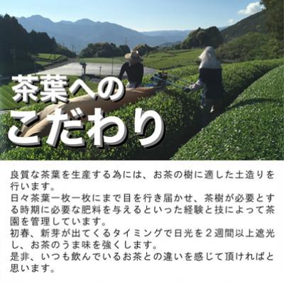 ふるさと納税 佐賀県 【創業110年】老舗茶屋の特別な嬉野茶(一番茶 かぶせ玉緑茶100g×3本) |  | 02