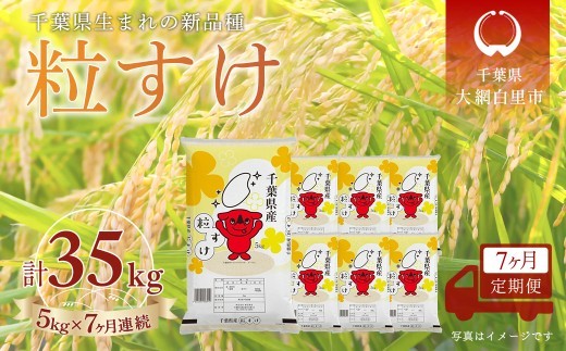 
                  ＜7か月定期便＞ 千葉県産「粒すけ」精米 5kg×7か月連続 計35kg
                