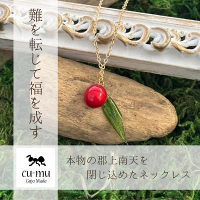 ふるさと納税 郡上市 本物の郡上南天を閉じ込めたネックレス