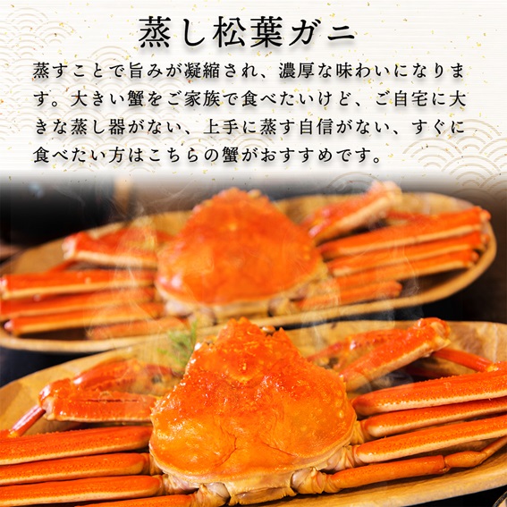 【蒸し】タグ付き松葉ガニ 中 2枚 / ( 枚500〜640ｇ前後) ずわいがに カニ TM10 0720