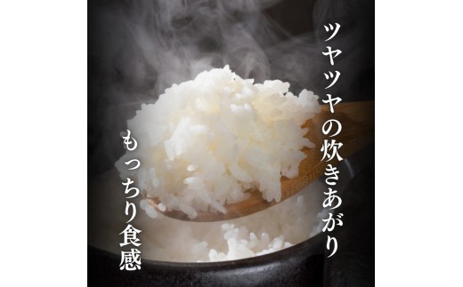 令和8年産 食味鑑定士厳選  新潟県上越柿崎区厳選 こしひかり 無洗米 15kg 6か月定期便 上越市 米 コメ コシヒカリ ファインリョーコク