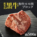 【ふるさと納税】 鹿児島黒牛 和牛 モモ肉 ブロック 約500g | ふるさと納税 牛肉 モモ肉 もも肉 ブロック 黒毛和牛 国産 ローストビーフ 鹿児島県大崎町