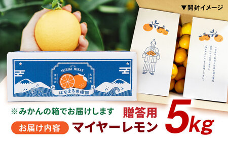 【贈答用】マイヤーレモン 5kg&nbsp;/ レモン れもん 檸檬 果汁 柑橘 フルーツ ふるーつ 果物 くだもの / 諫早市 / 山野果樹園[AHCF014]