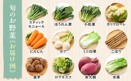 【先行予約】みうら農園 季節の野菜セット おまかせ7品（晩秋野菜）【10月上旬以降より順次発送】