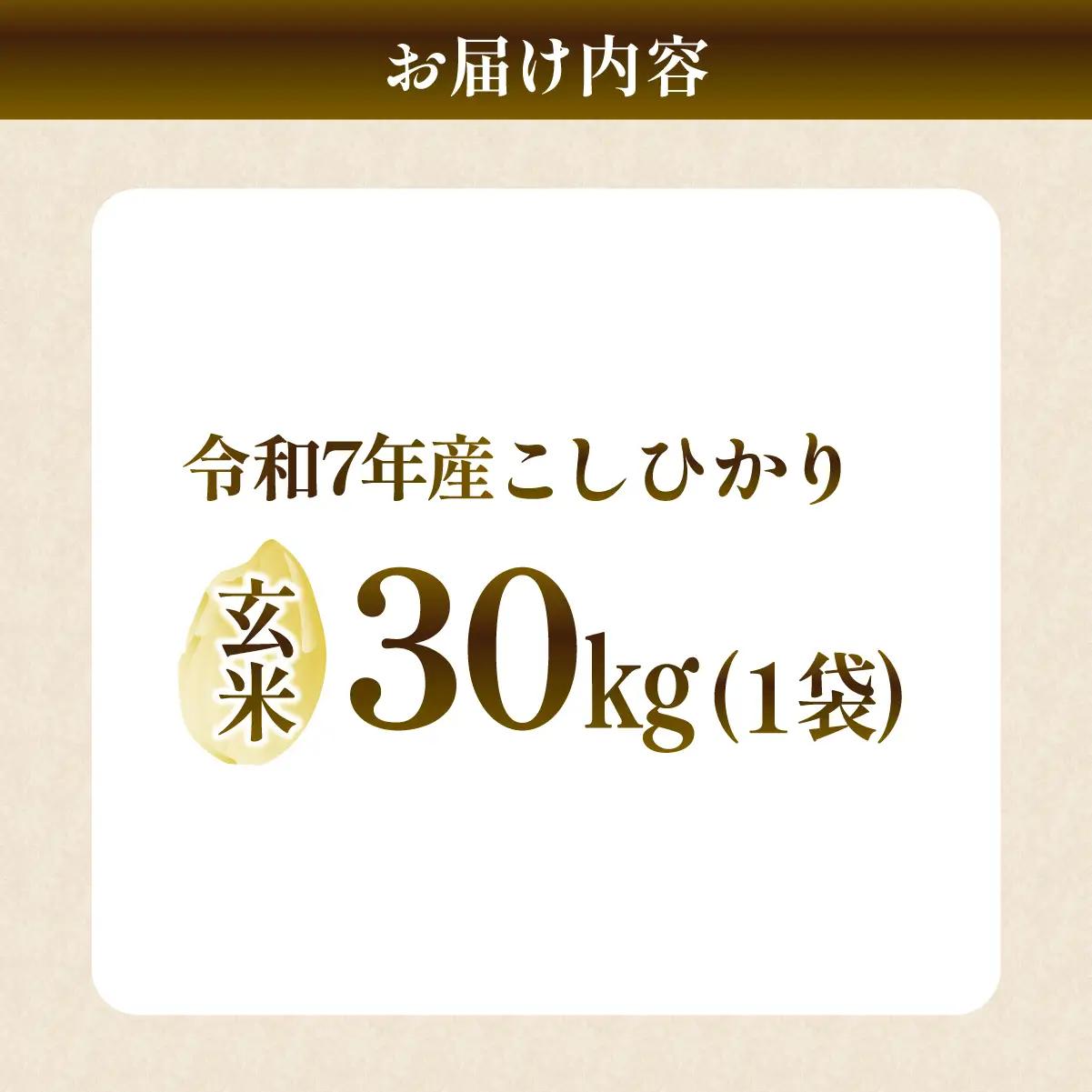 令和7年度 コシヒカリ 玄米 30kg 農家直送 | コシヒカリ 茨城県 龍ケ崎市 