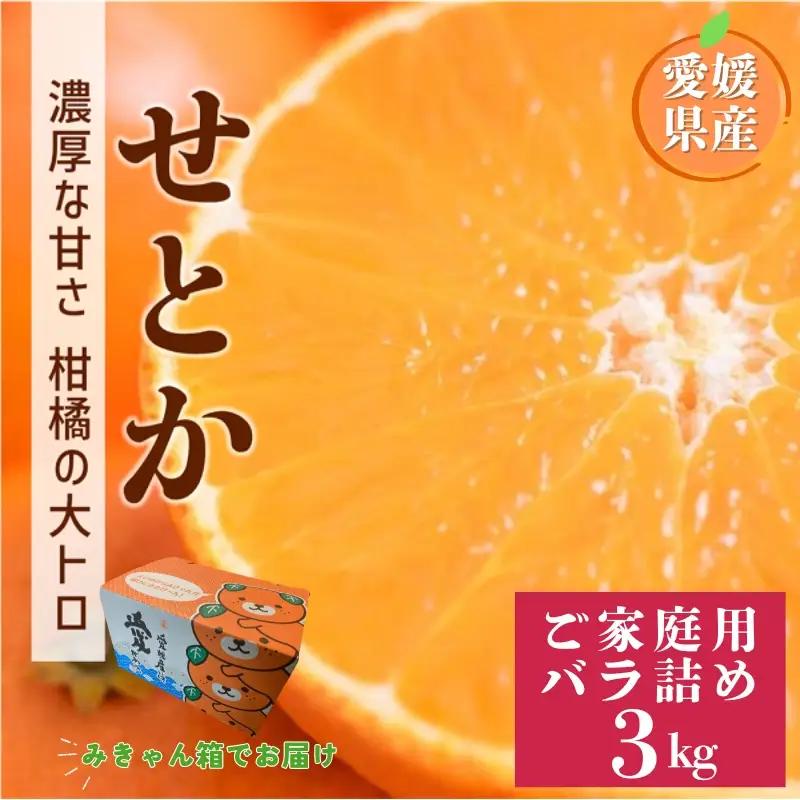 【2027年2月上旬より順次発送】せとか 3kg バラ詰め Mサイズ以上｜B558