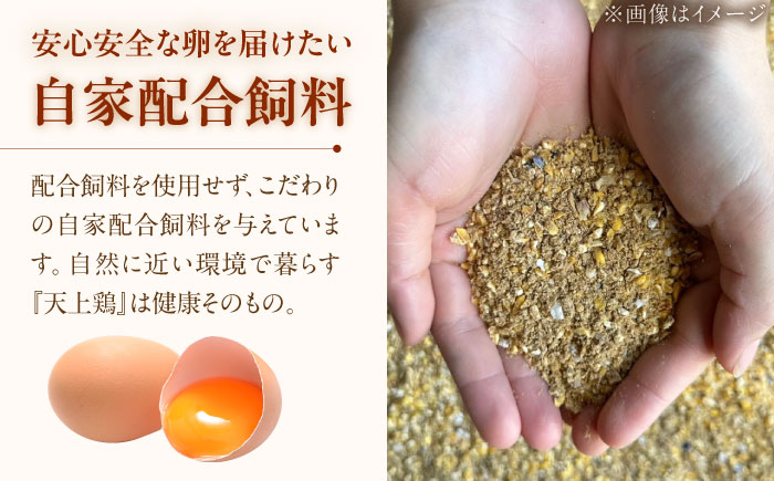 こだわりの卵「天上卵」20個セット 糸島ファームハウスUOVO/鶏卵/平飼い/たまご/玉子 [AKH001]