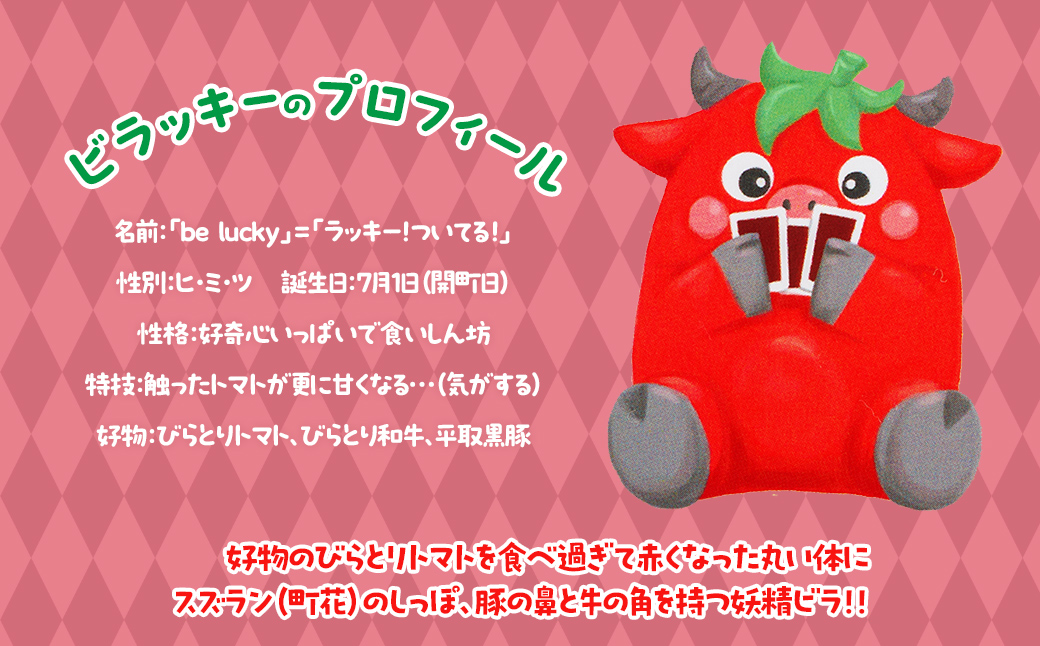 【平取町公式ゆるキャラ】ビラッキートランプ BRTQ001